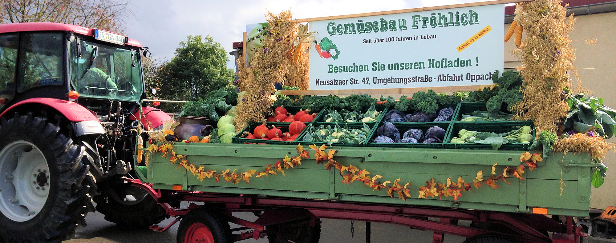 Frische Salate aus der Region