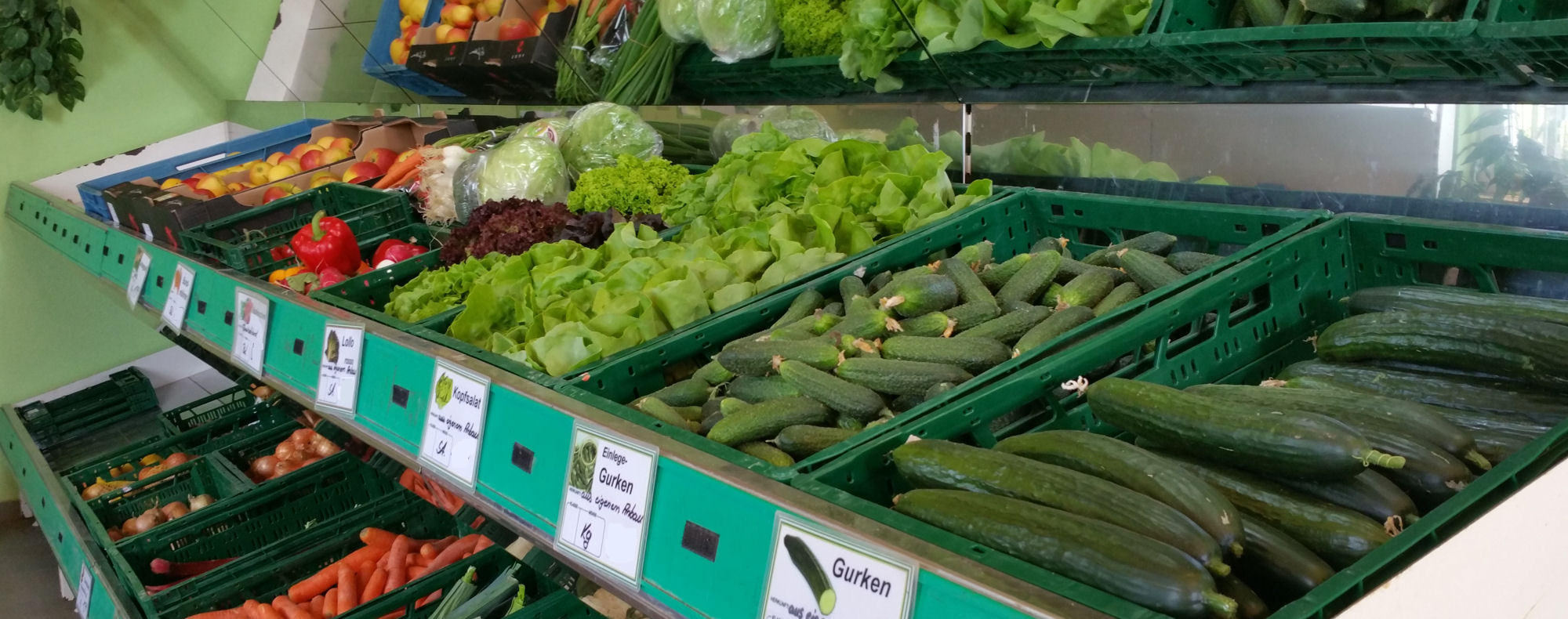 Frische Salate aus der Region Frische Salate aus der Region
